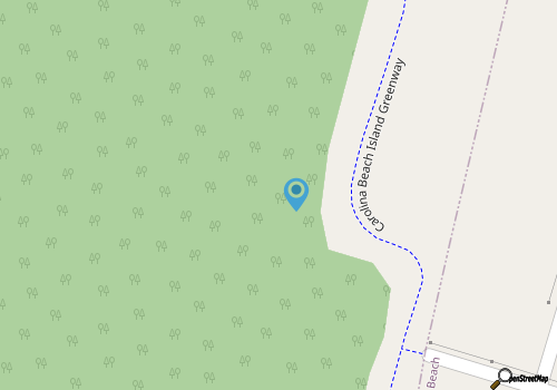 Hang 10 at the Longboard Lodge: A Family Retreat! map location