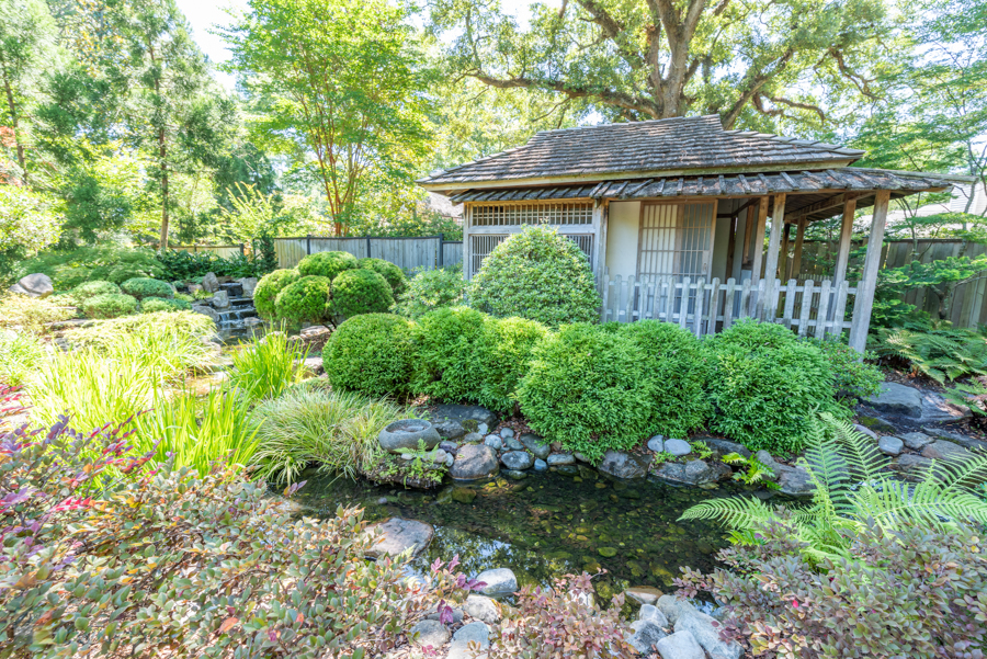 New Hanover County Arboretum in Wilmington, NC