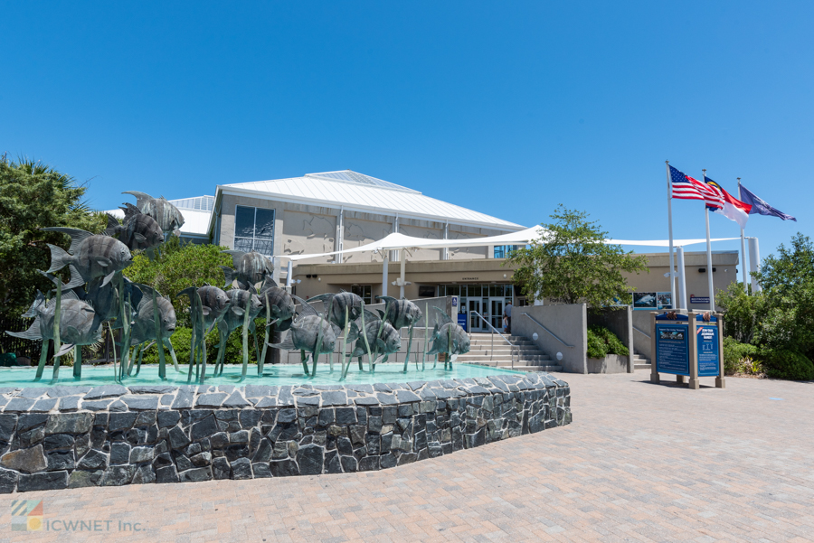 NC Aquarium Fort Fisher