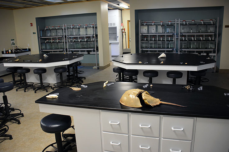 The science lab at Bald Head Island Conservancy