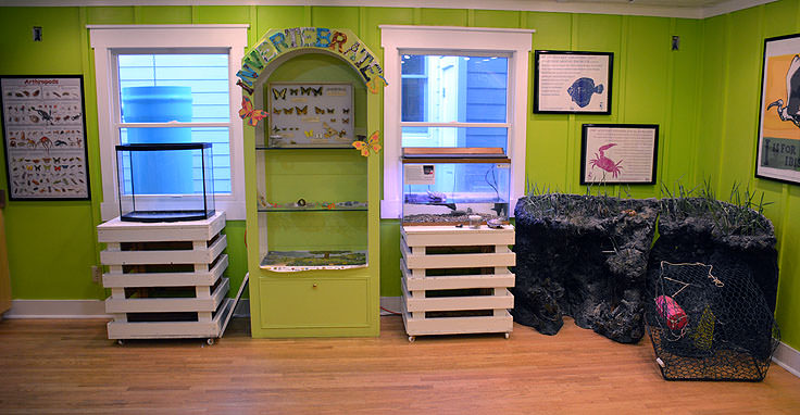 A classroom at Bald Head Island Conservancy