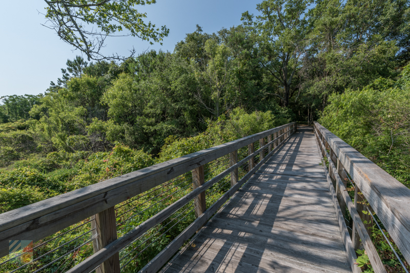 Lowe-White Memorial Park