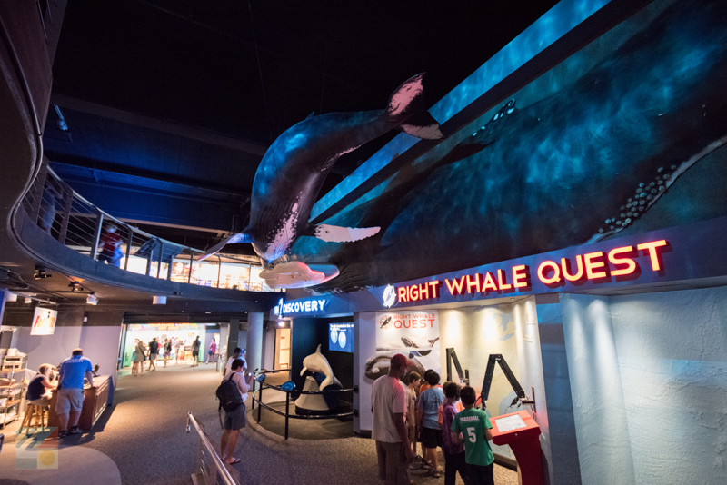 NC Aquarium at Fort Fisher
