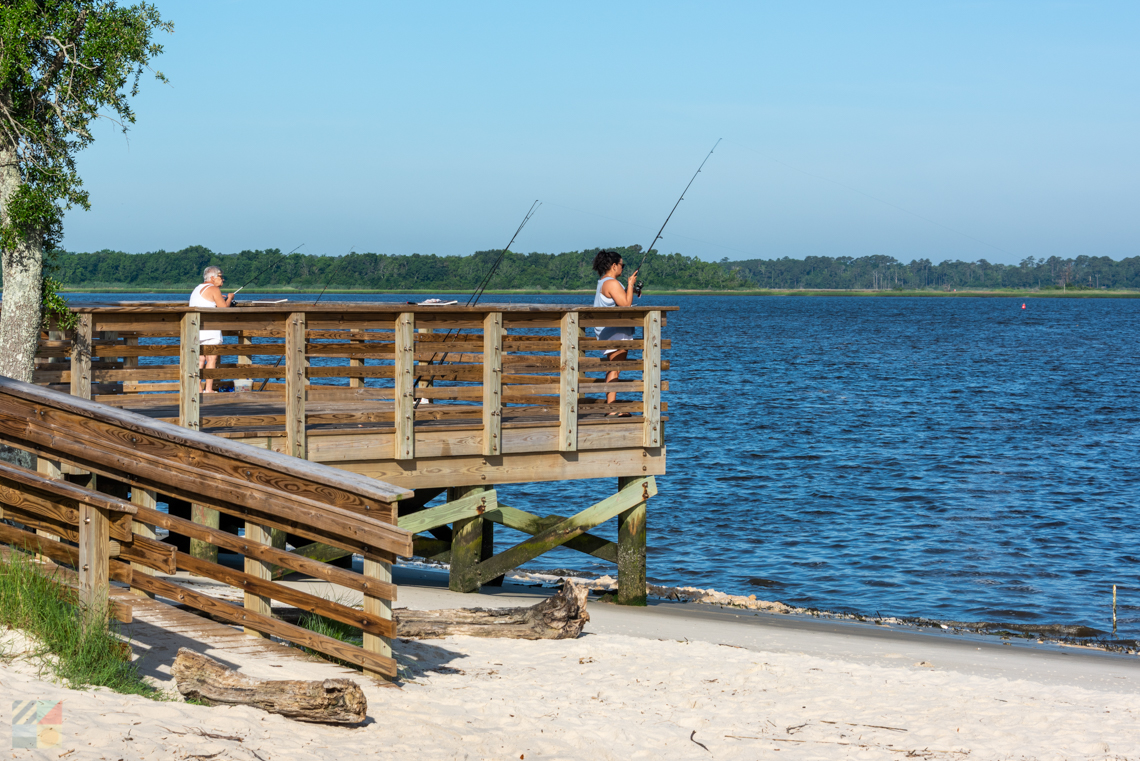Carolina Beach State Park