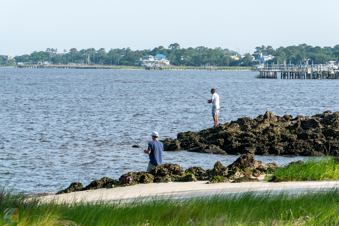 Carolina Beach State Park