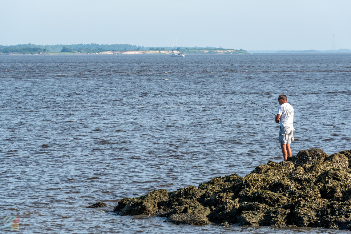 Carolina Beach State Park