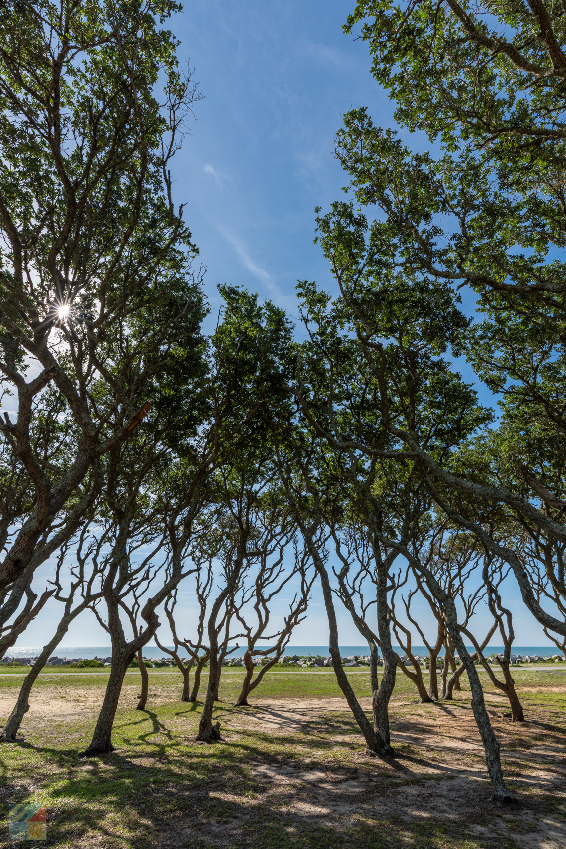 Fort Fisher State Historic Site