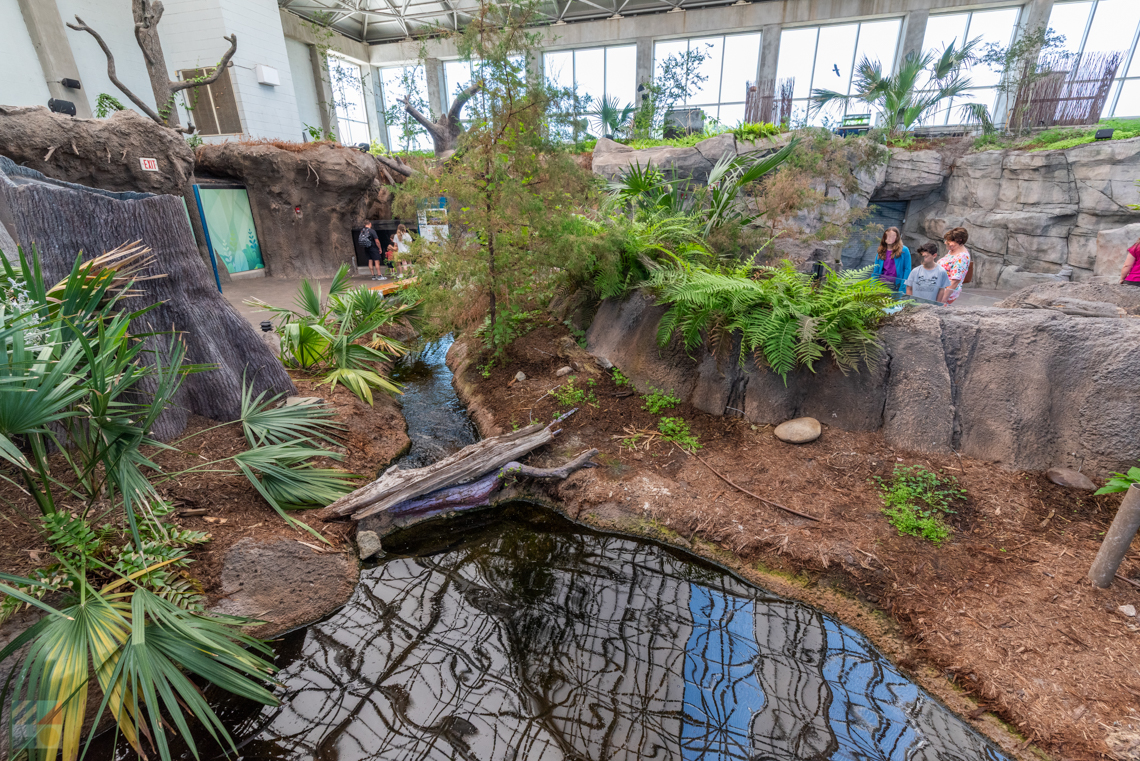 NC Aquarium at Fort Fisher