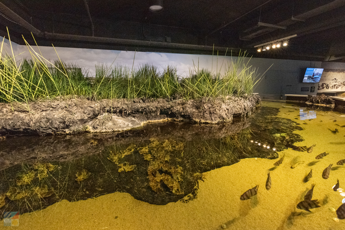 NC Aquarium at Fort Fisher