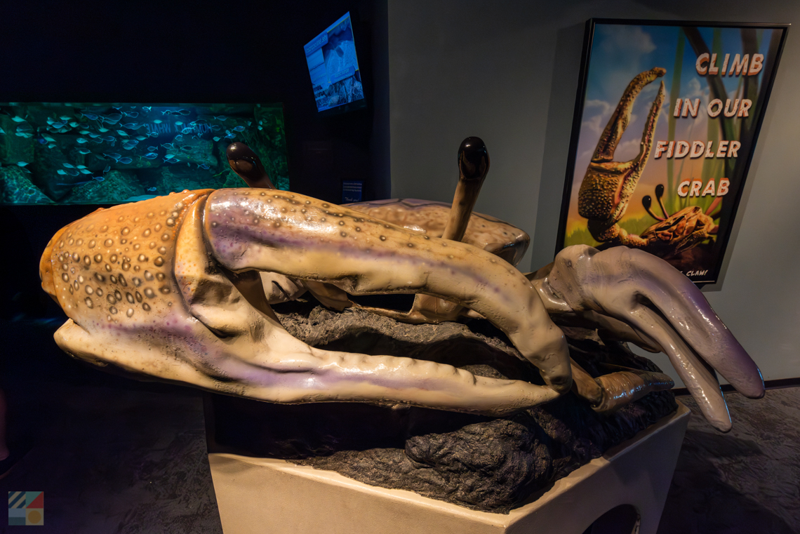 NC Aquarium at Fort Fisher