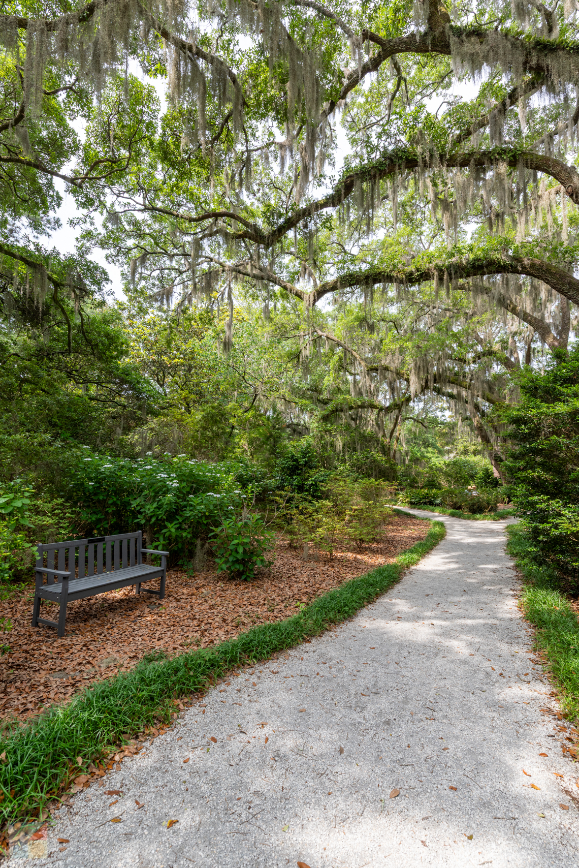 Airlie Gardens