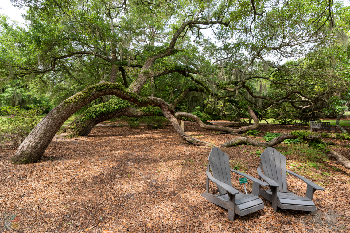 Airlie Gardens