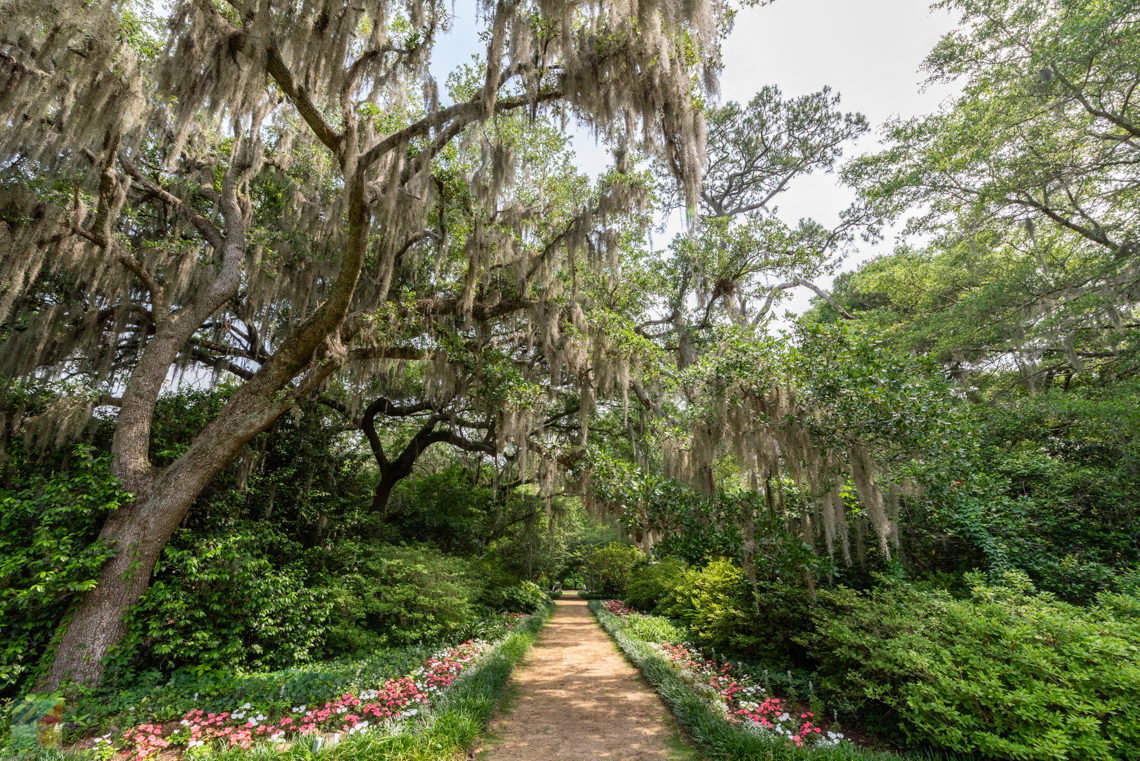 Airlie Gardens