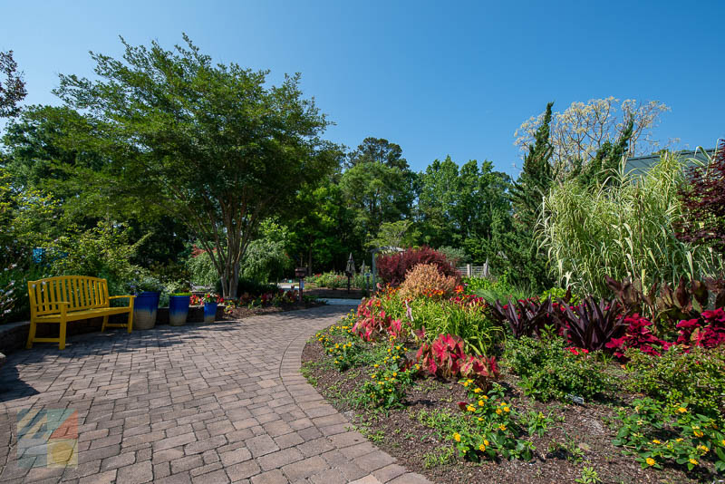 New Hanover County Arboretum