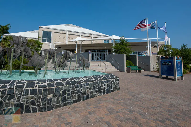 NC Aquarium at Fort Fisher