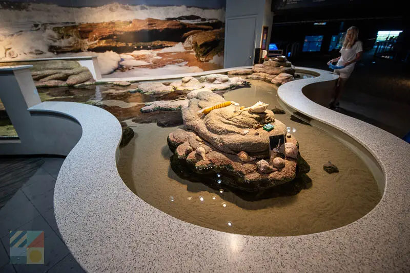 NC Aquarium at Fort Fisher