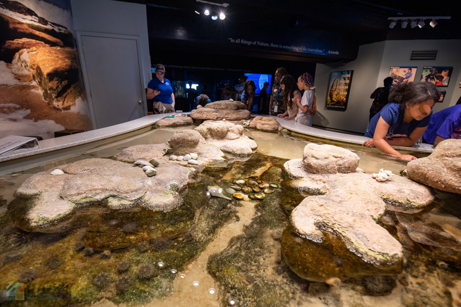 NC Aquarium at Fort Fisher