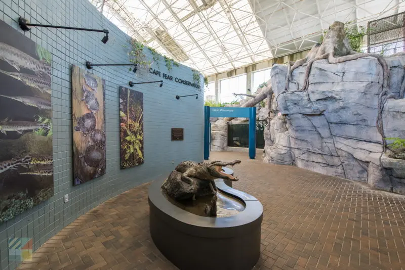 NC Aquarium at Fort Fisher