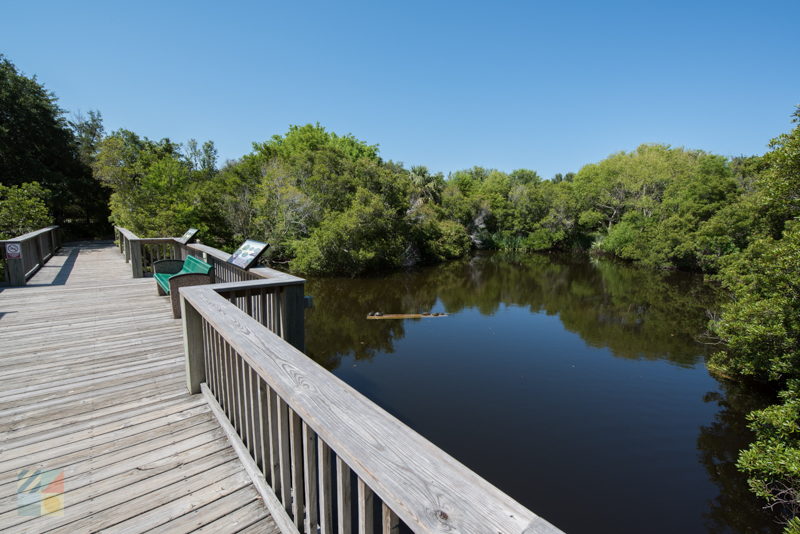 NC Aquarium at Fort Fisher