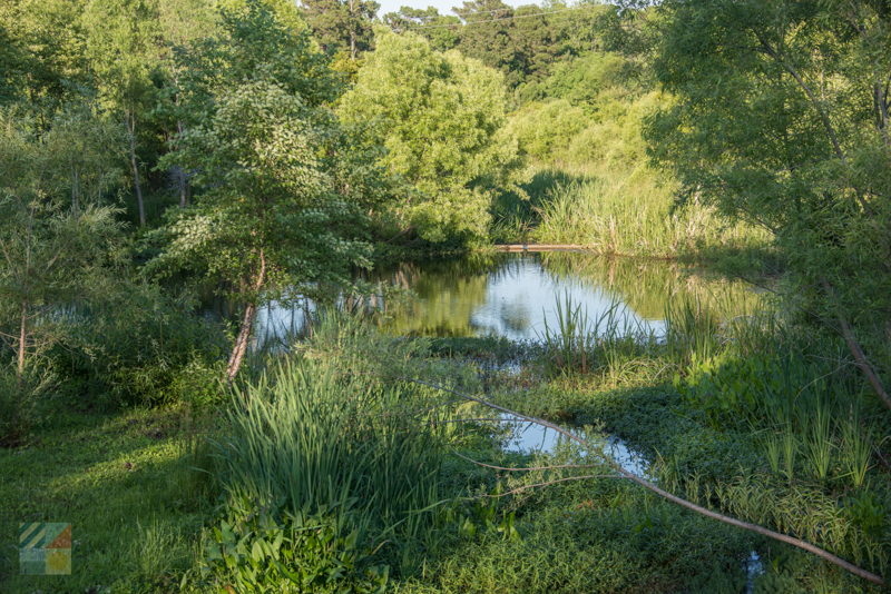 James E.L. Wade Park