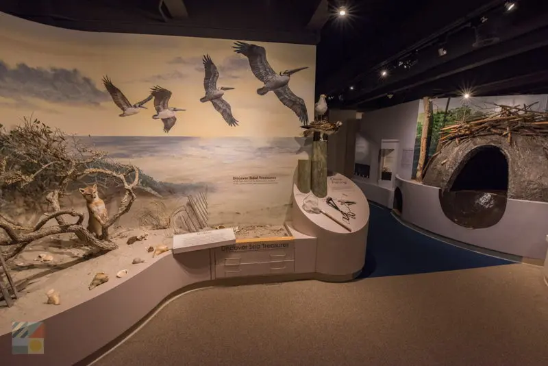 Cape Fear Museum