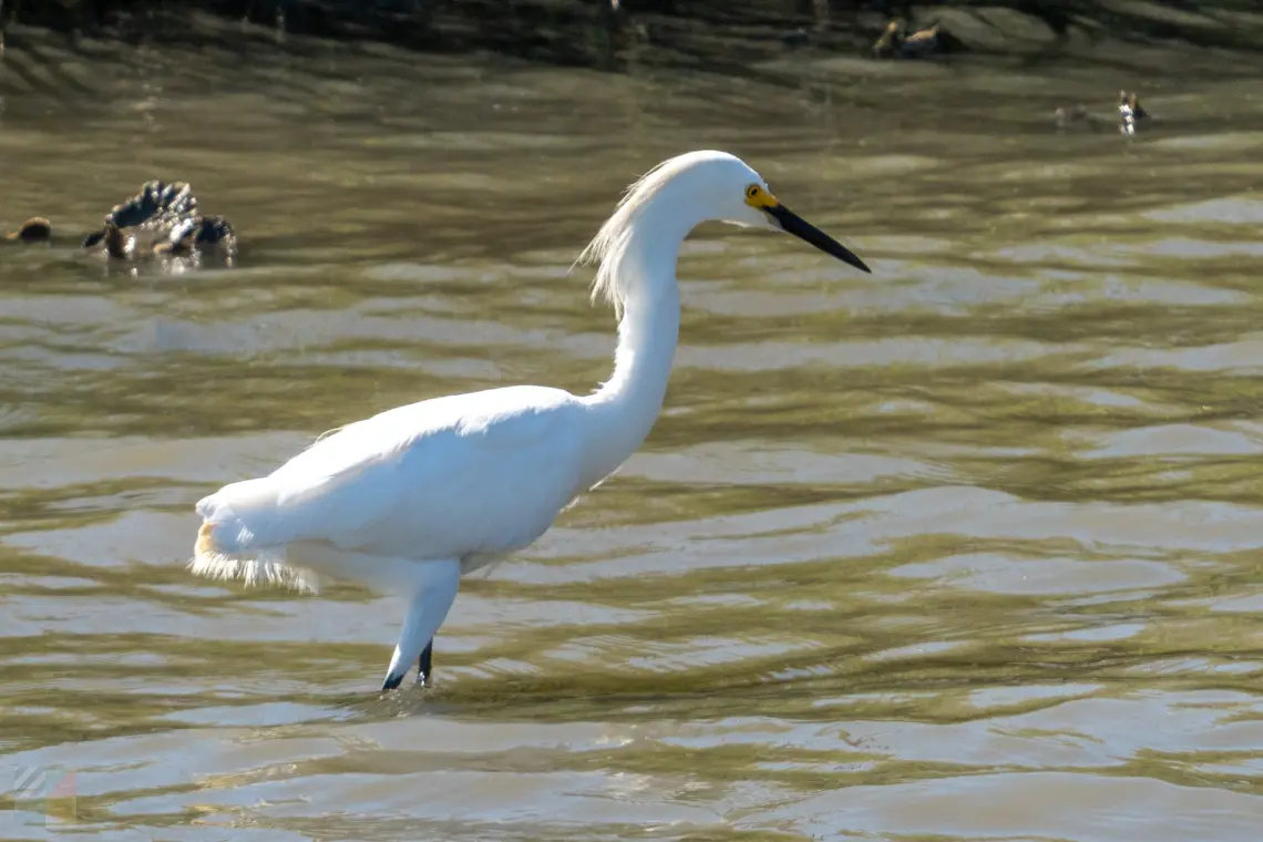 About Us - Southport-NC.com