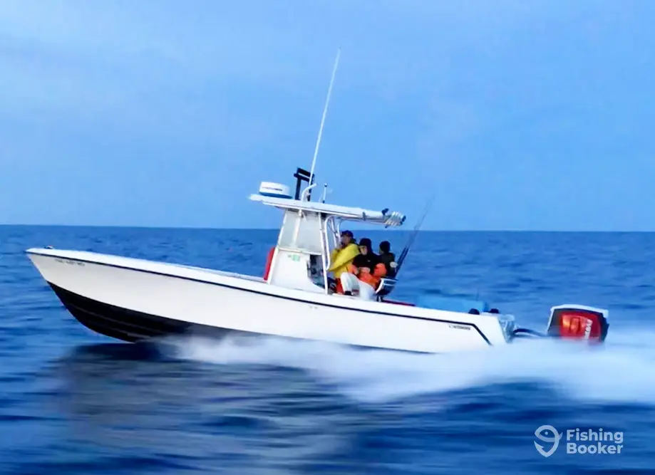 Southern Sportfishing