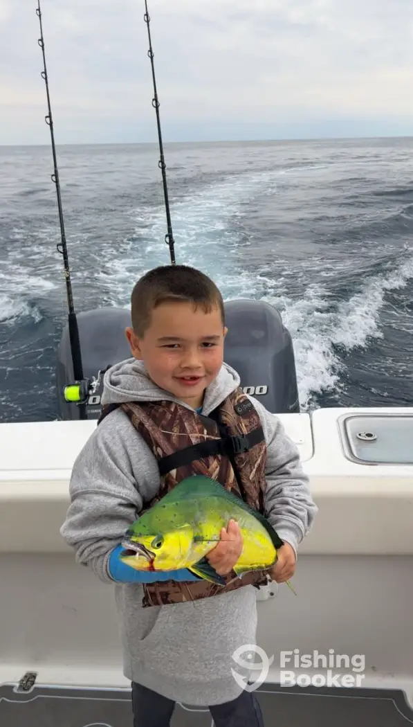 Solutions Charters charter image 4