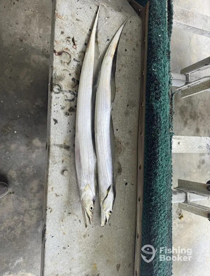 Slice o life Charter and Cruise LLC charter image 4