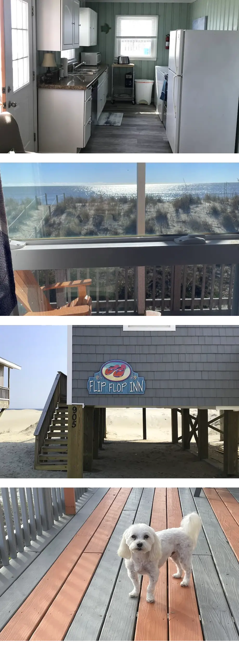 Lovely cottage, Ocean Front , small Dog friendly -150 one time fee oak island 