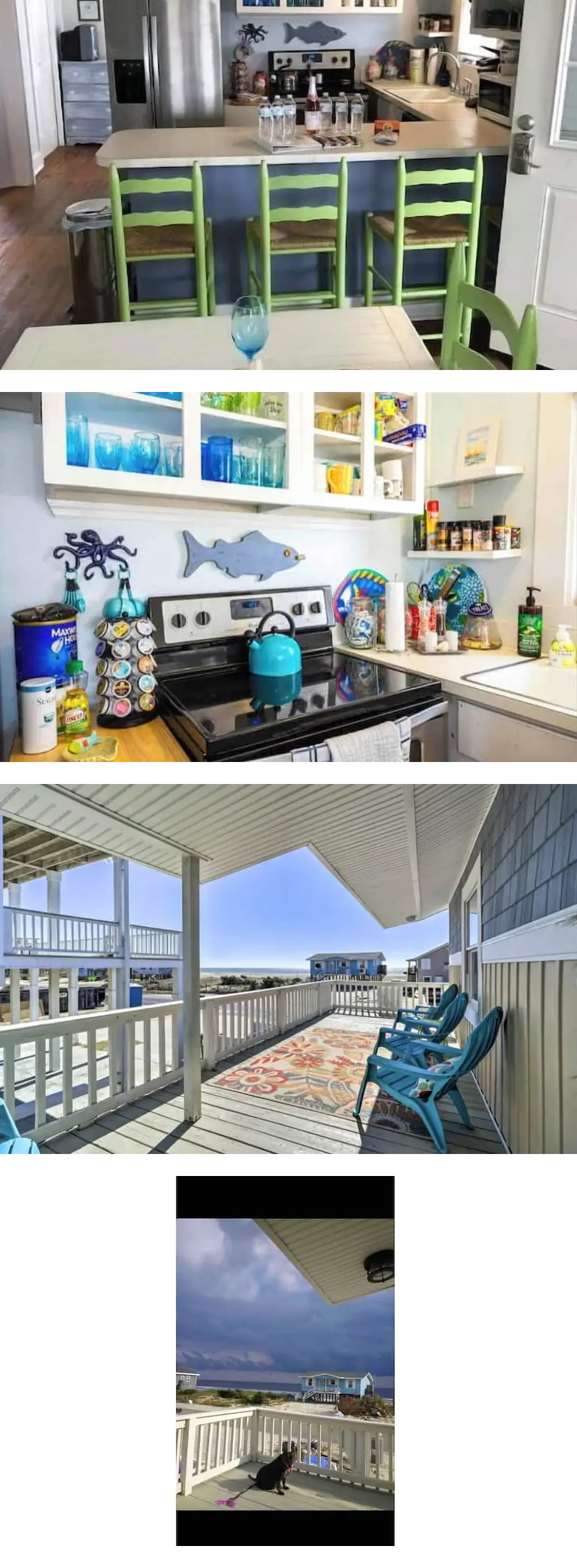 Ocean Views! Pup Friendly! 2 Minute Walk...